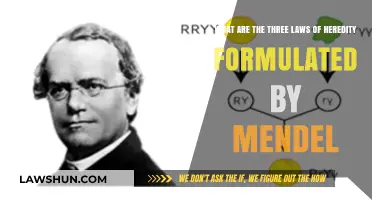 Mendel's Three Laws of Heredity: Unlocking Genetic Inheritance Principles