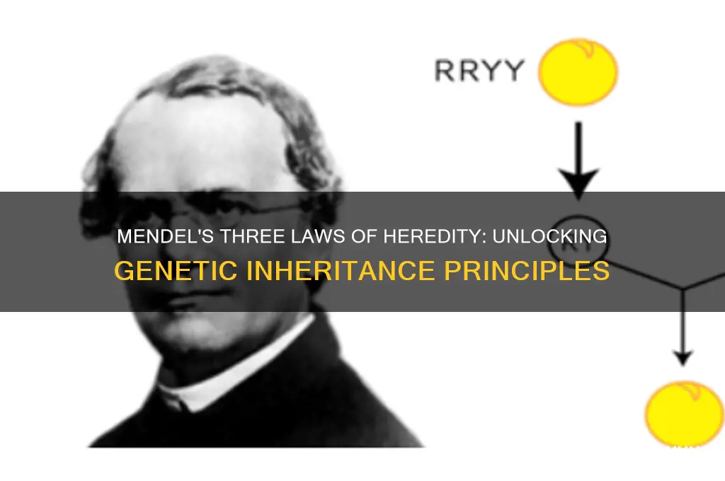 what are the three laws of heredity formulated by mendel