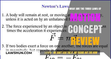 Understanding Newton's Three Laws of Motion: A Comprehensive Concept Review