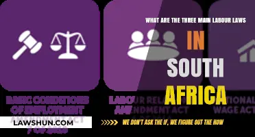 Understanding South Africa's Key Labour Laws: A Comprehensive Overview