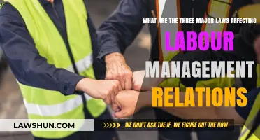 Key Laws Shaping Labour Management Relations in the Workplace