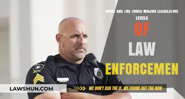 Understanding Law Enforcement: Three Key Legislative Levels Explained