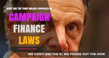 Exposing Campaign Finance Loopholes: Three Major Weaknesses in Current Laws