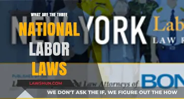 Understanding the Three Key National Labor Laws: A Comprehensive Guide