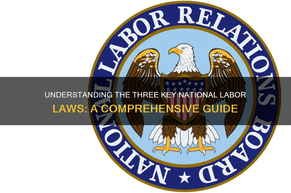 what are the three national labor laws