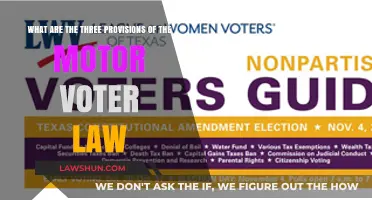 Motor Voter Law: Key Provisions for Voter Registration Simplified