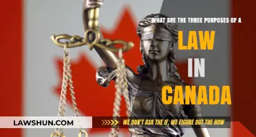 Canada's Legal System: Laws' Triple Purpose
