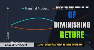 Understanding the Three Stages of Diminishing Returns in Economics