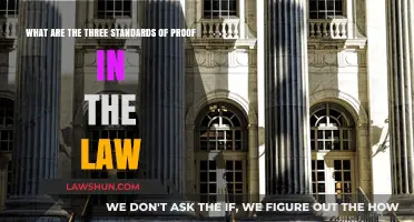 Understanding the Three Legal Standards of Proof in Law