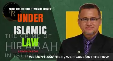 Understanding Islamic Law: Exploring Three Distinct Categories of Crimes