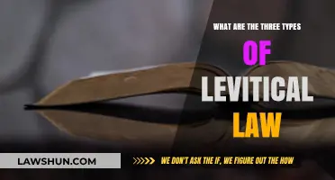 Understanding the Three Categories of Levitical Law in Scripture