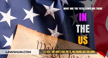 Understanding the Vast Legal Landscape: Total U.S. Laws Explained