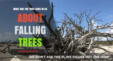Georgia Tree Laws: Understanding Liability for Falling Trees on Property