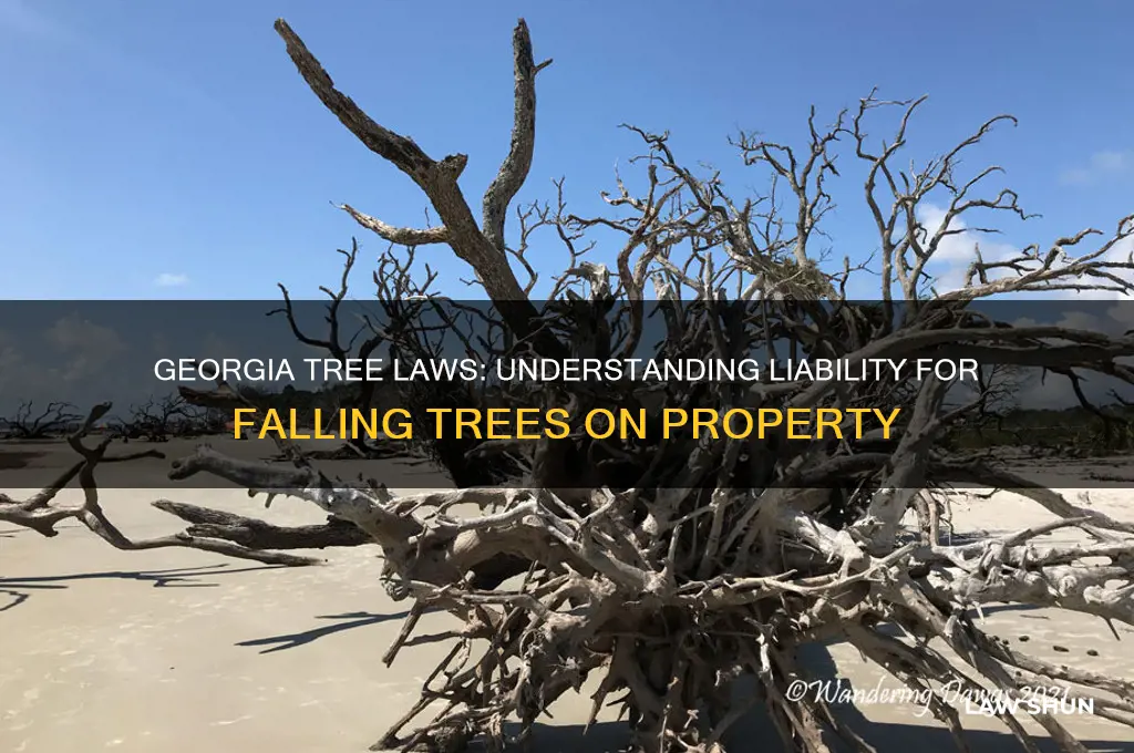 what are the tree laws in ga about falling trees