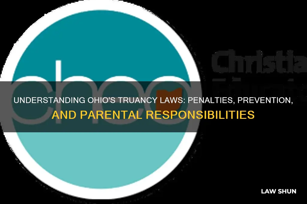 what are the truancy laws in ohio