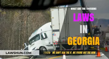 Georgia Trucking Laws: Essential Regulations Every Driver Should Know