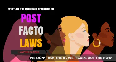 Understanding Ex Post Facto Laws: Two Key Goals Explained