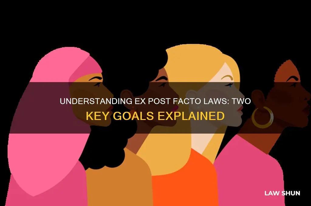 what are the two goals regarding ex post facto laws