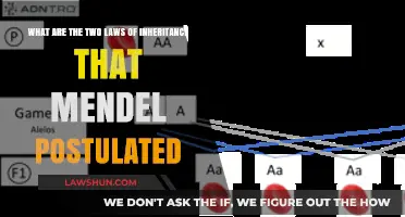 Mendel's Postulated Laws of Inheritance: Unlocking Genetic Principles