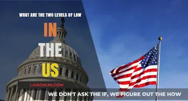 Understanding the Dual Layers of U.S. Law: Federal and State