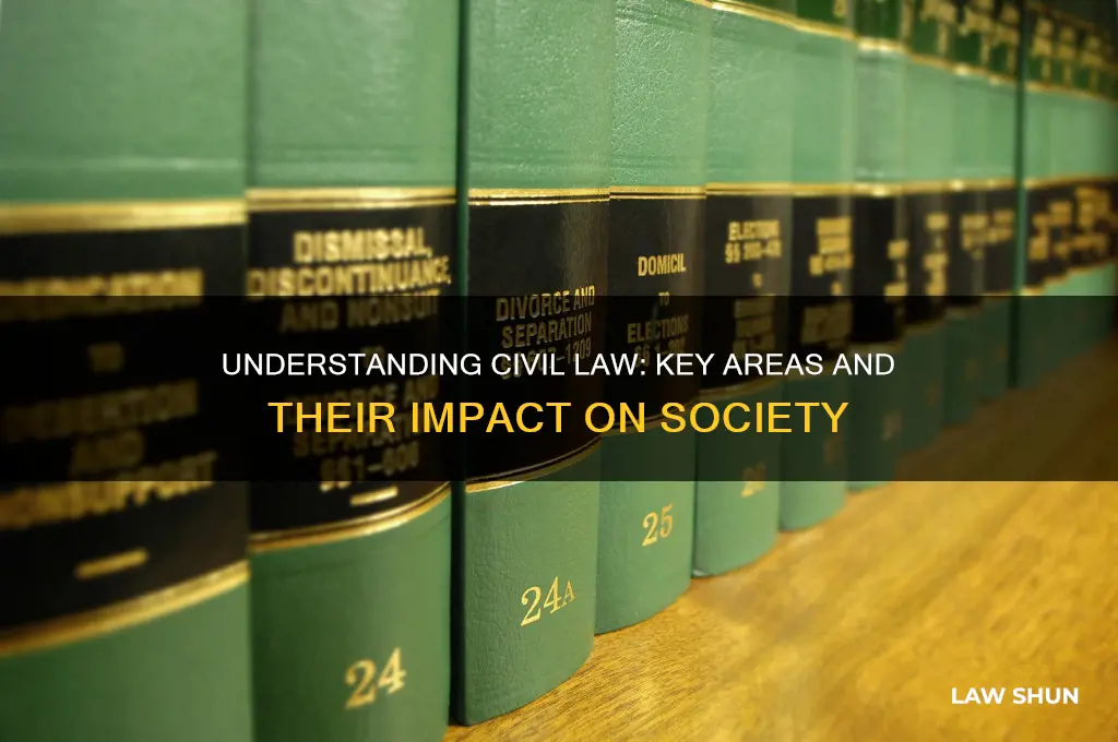 what are the two main areas of civil law
