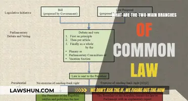 Common Law's Two Branches: Understanding Their Differences