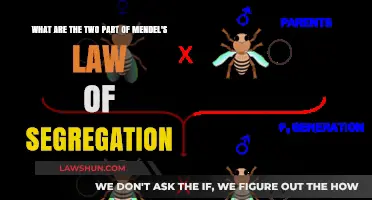 Understanding Mendel's Law of Segregation: Exploring Its Two Key Components