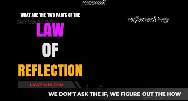 Understanding the Law of Reflection: Its Two Fundamental Components Explained