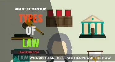 Understanding the Core: Two Primary Types of Law Explained