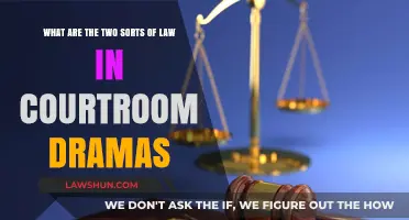 Understanding the Dual Legal Forces in Courtroom Dramas