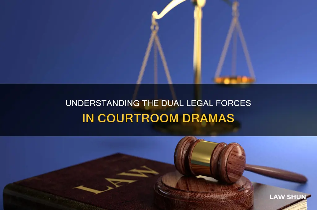 what are the two sorts of law in courtroom dramas