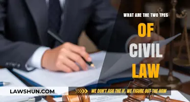 Understanding Civil Law: Exploring the Two Primary Legal Categories