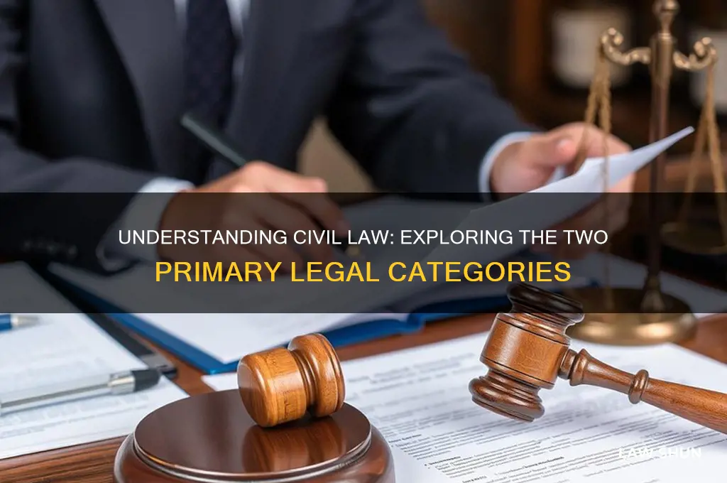 what are the two tpes of civil law