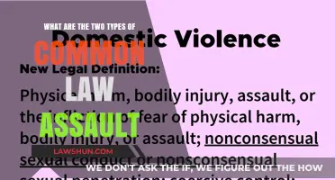 Understanding Criminal and Civil Assault Charges