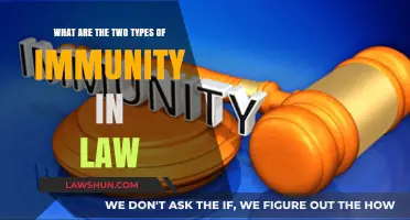 Understanding Legal Immunity: Exploring Active and Passive Protections in Law