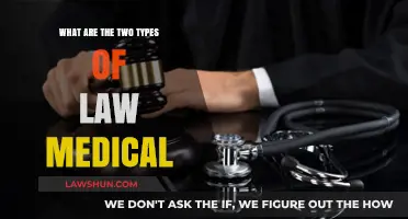 Understanding Medical Law: Exploring Criminal and Civil Legal Frameworks