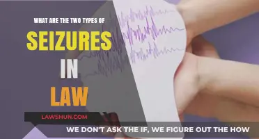 Understanding Legal Seizures: Types and Implications in Law Enforcement