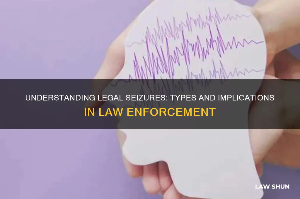 what are the two types of seizures in law