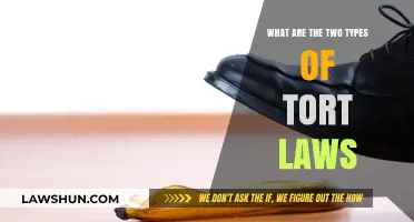 Understanding Tort Laws: Intentional Torts vs. Negligence Explained