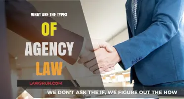Understanding Agency Law: Exploring Various Types and Legal Implications