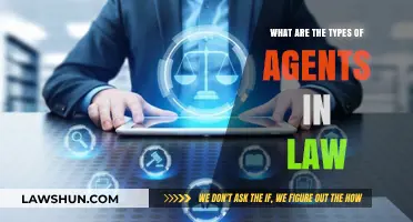 Understanding Legal Agents: Types and Roles in Law Explained