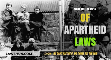 Understanding Apartheid: Exploring the Various Types of Discriminatory Laws