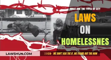 Understanding City Laws: Types of Homelessness Regulations and Policies