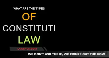 Constitutional Law: Exploring Its Diverse Types