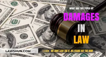 Understanding Legal Damages: Types and Their Implications in Law