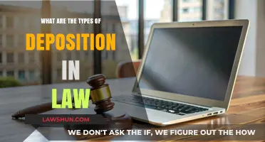 Understanding Legal Deposition Types: Key Methods and Processes Explained