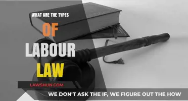 Understanding Labour Law: Exploring Different Types and Their Applications