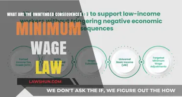 Unintended Consequences of Minimum Wage Laws: Impact and Analysis