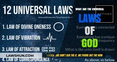 God's Universal Laws: The Foundation of Our Existence