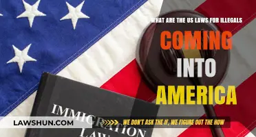 Understanding U.S. Immigration Laws: Policies for Unauthorized Entry Explained
